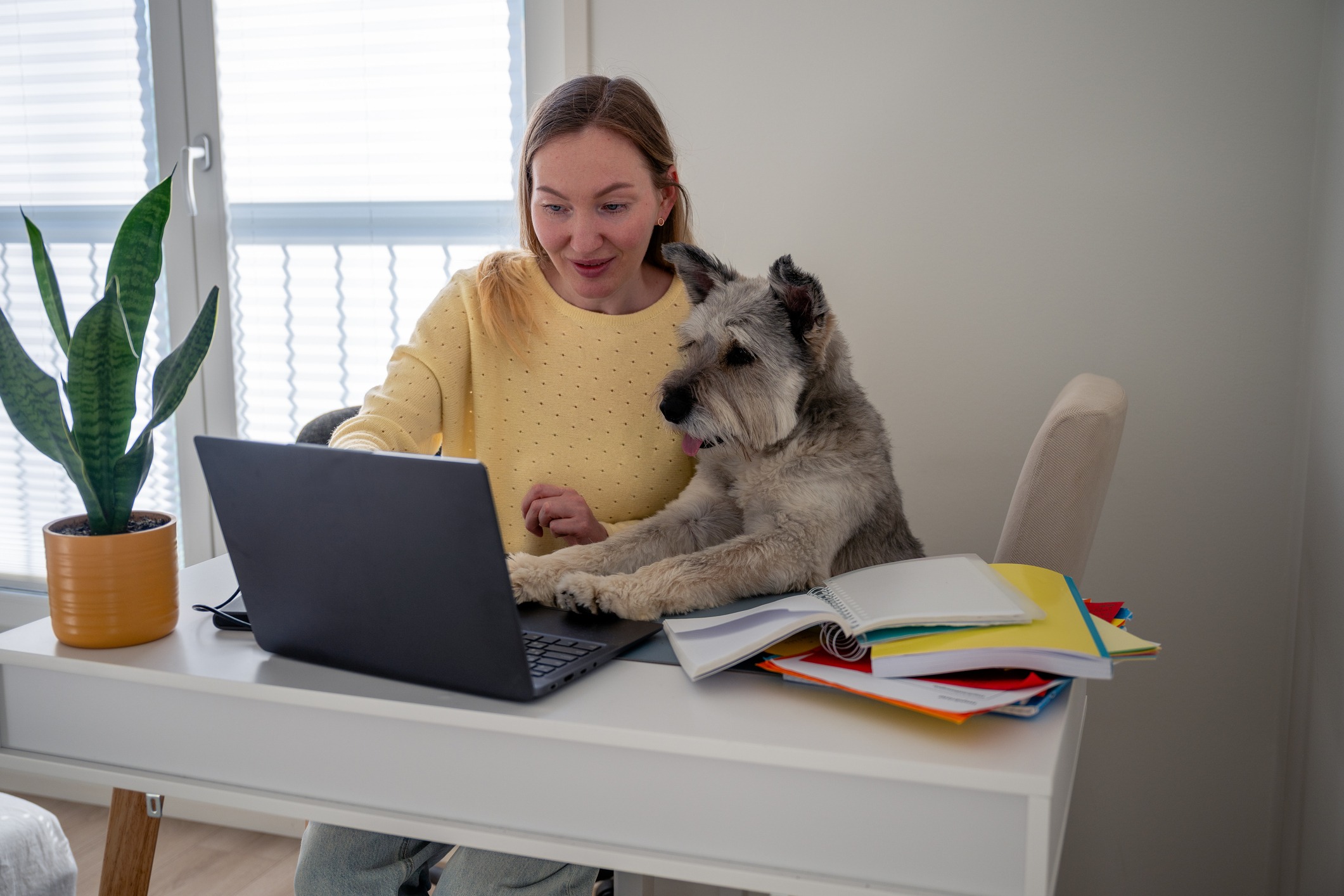Hundekrankenversicherung mit Vorerkrankungen bei Versichererwechsel